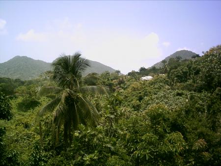 paysage